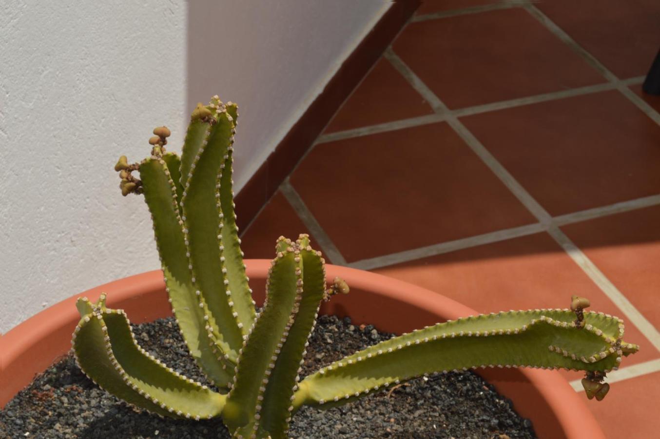 Playa Honda I Appartement